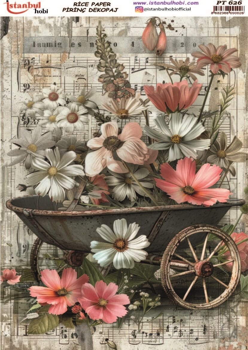 Pirinç Dekopaj PT-626 30x42cm