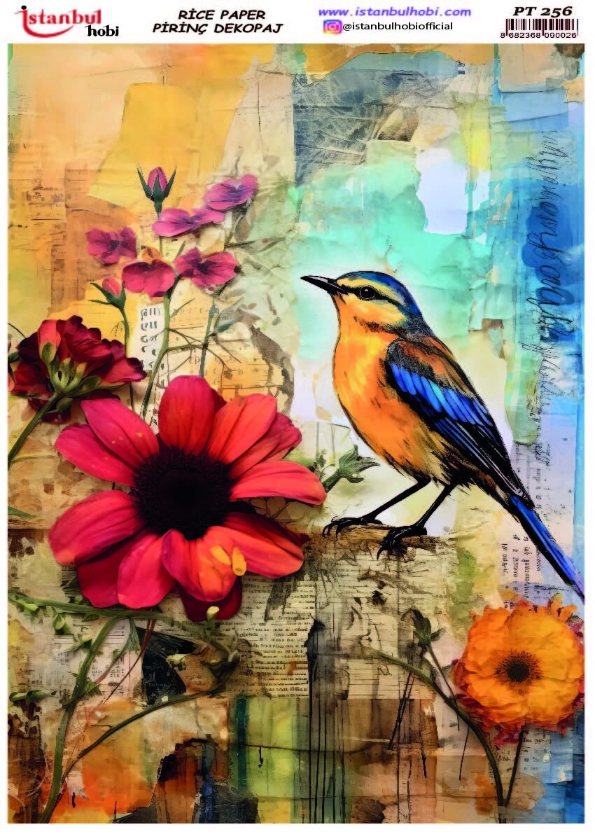 Pirinç Dekopaj PT-256 30x42cm