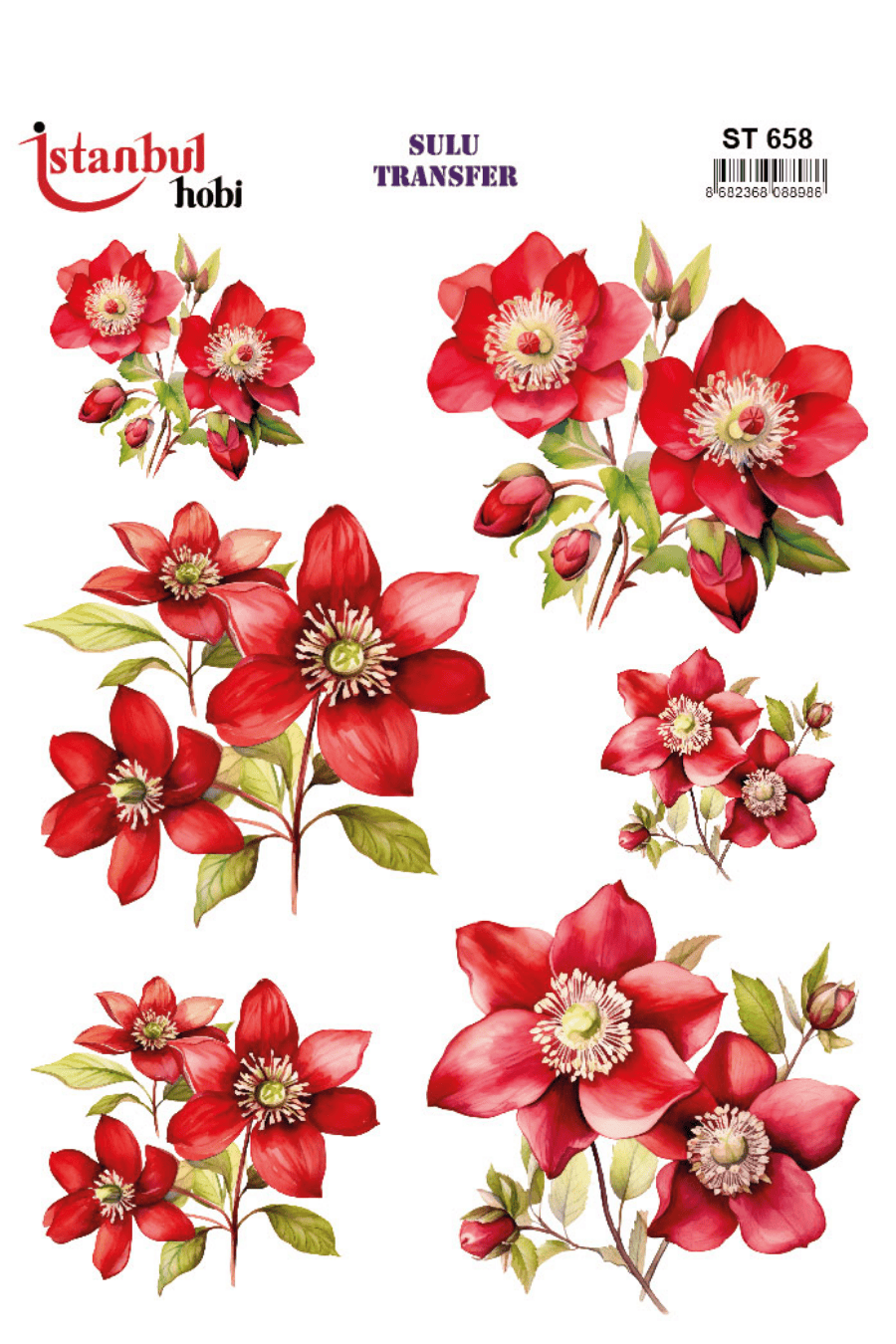 Sulu Transfer Çiçekli Desenli ST658