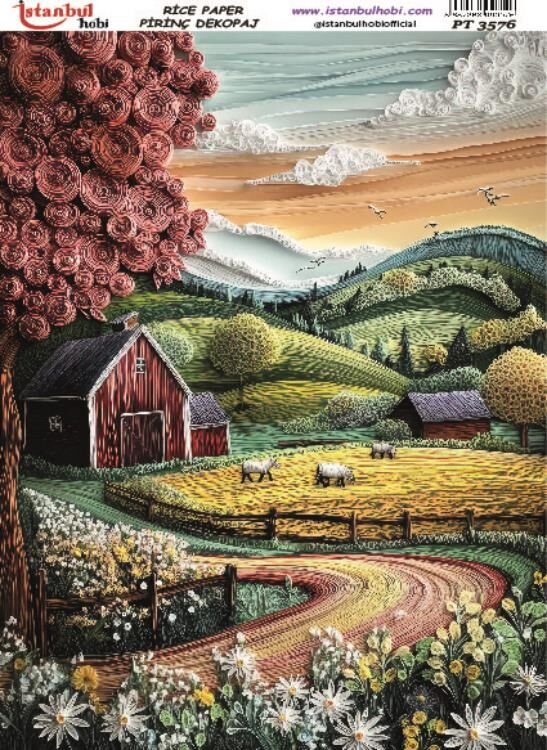 Pirinç Dekopaj PT-3576 30x42cm