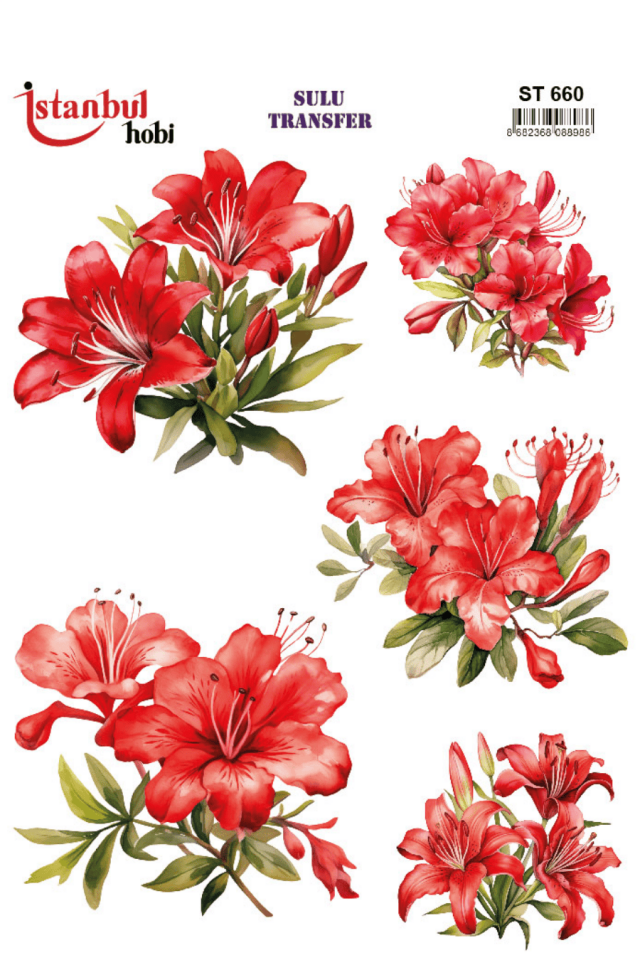 Sulu Transfer Çiçekli Desenli ST660