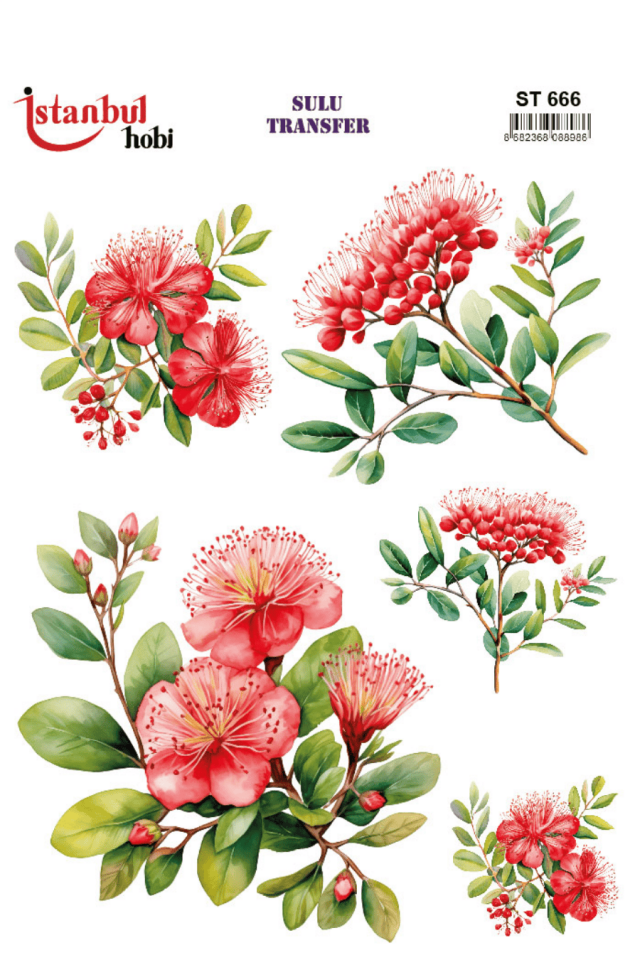 Sulu Transfer Çiçekli Desenli ST666