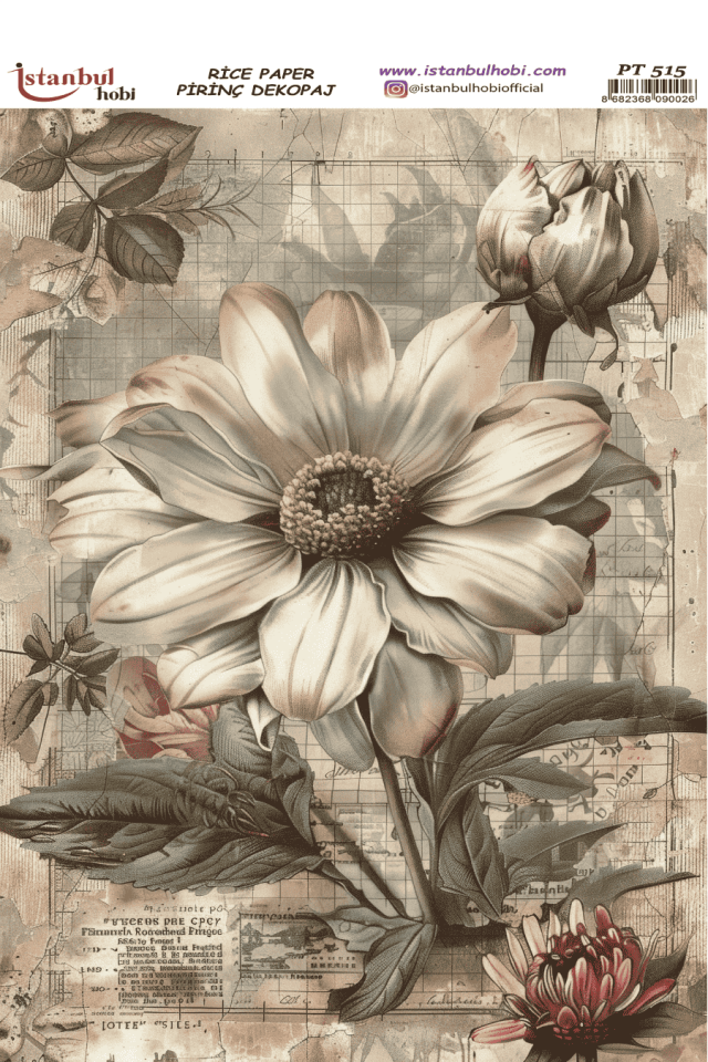Pirinç Dekopaj PT-515 30x42cm