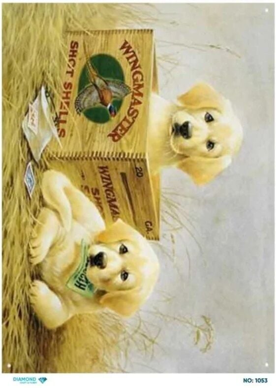 Pirinç Dekopaj DİA-1053 30x42cm