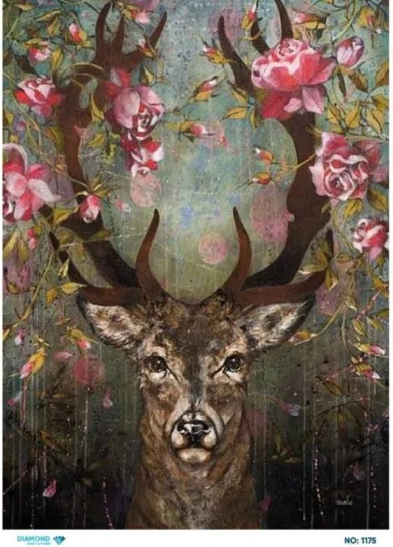 Pirinç Dekopaj DİA-1175 30x42cm