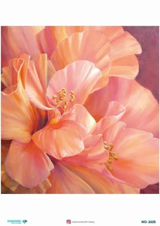 Pirinç Dekopaj DİA-2625 30x42cm