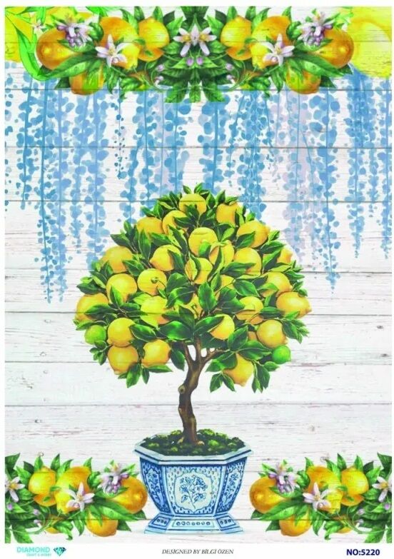 Pirinç Dekopaj DİA-5220 30x42cm