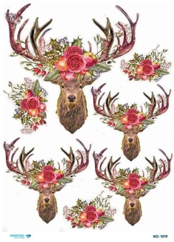 Pirinç Dekopaj DİA-1019 30x42cm