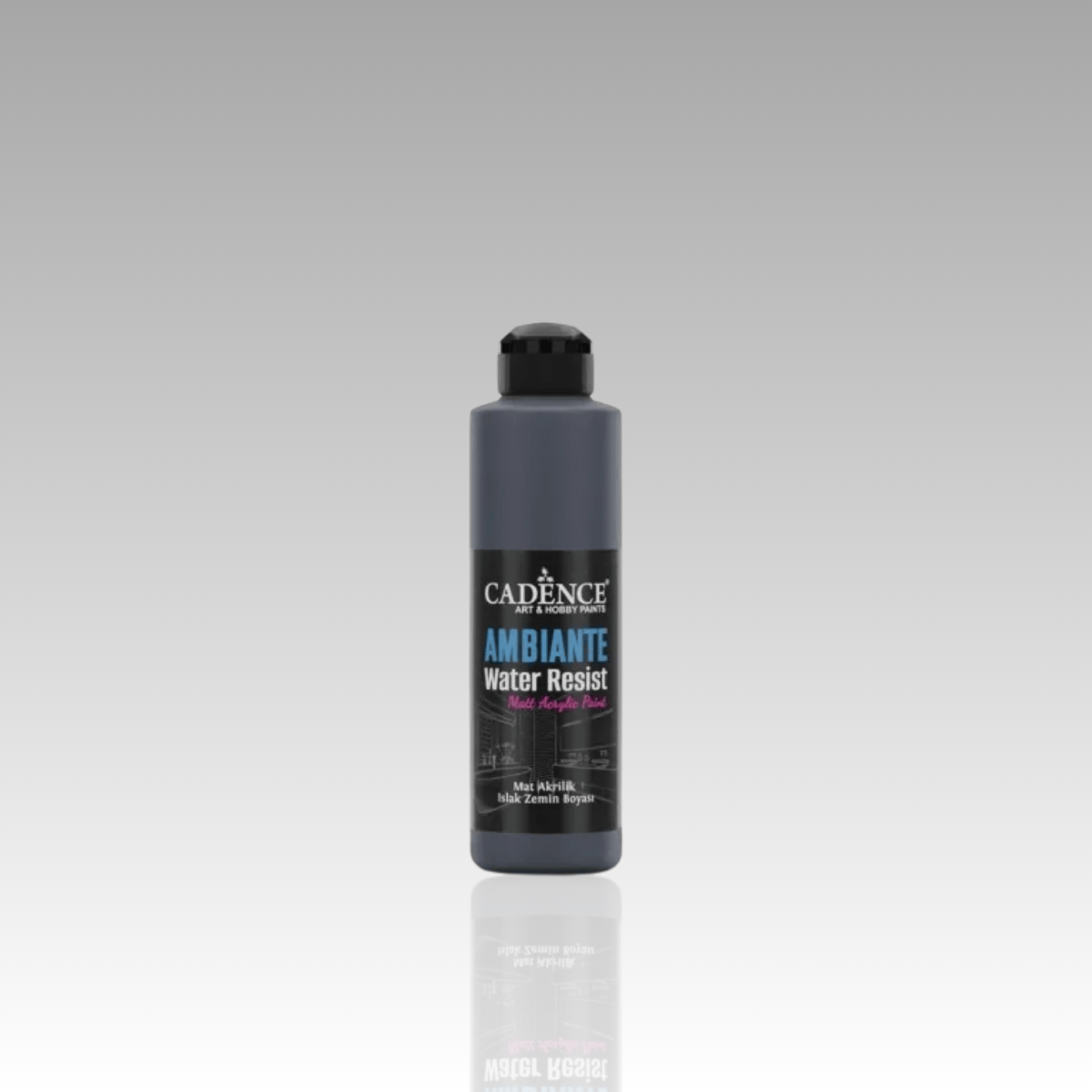 Antrasit Siyah Ambiante Islak Zemin Boyası 250ml+10ml Katalizör