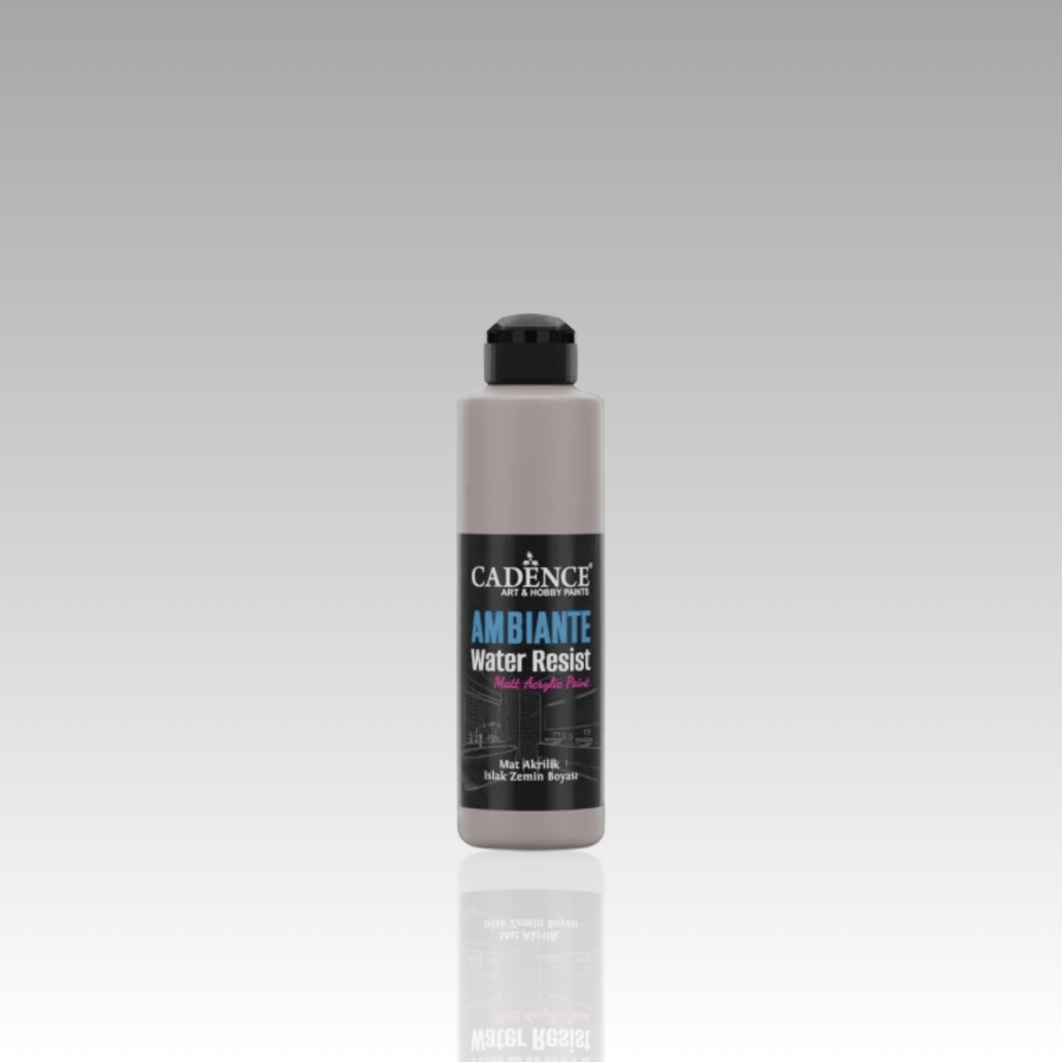 Vizon Gri Ambiante Islak Zemin Boyası 250ml+10ml Katalizör