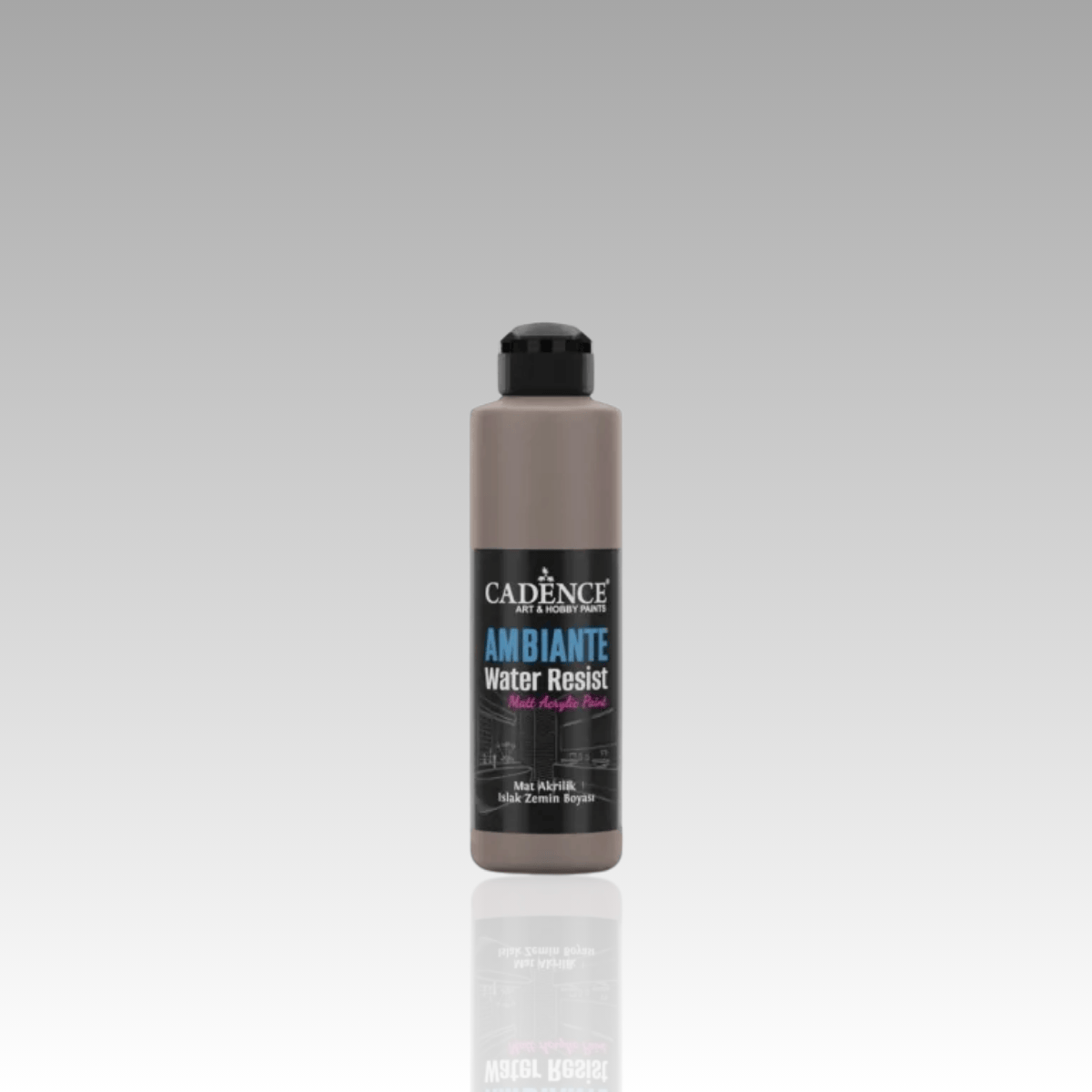 Vizon Ambiante Islak Zemin Boyası 250ml+10ml Katalizör