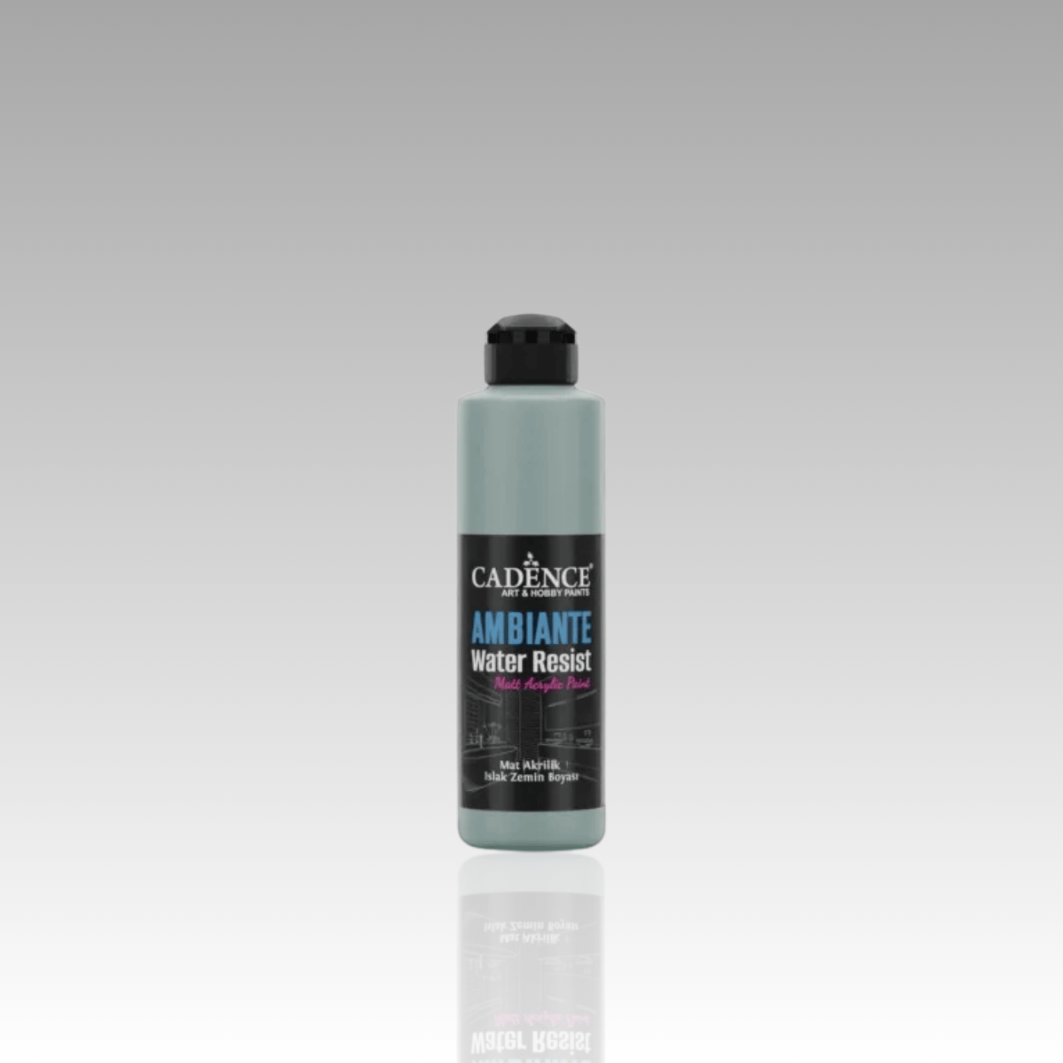 Küf Yeşil Ambiante Islak Zemin Boyası 250ml+10ml Katalizör