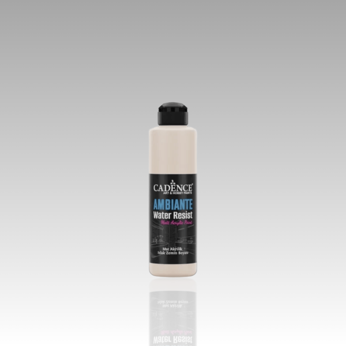 Dantel Ambiante Islak Zemin Boyası 250ml+10ml Katalizör