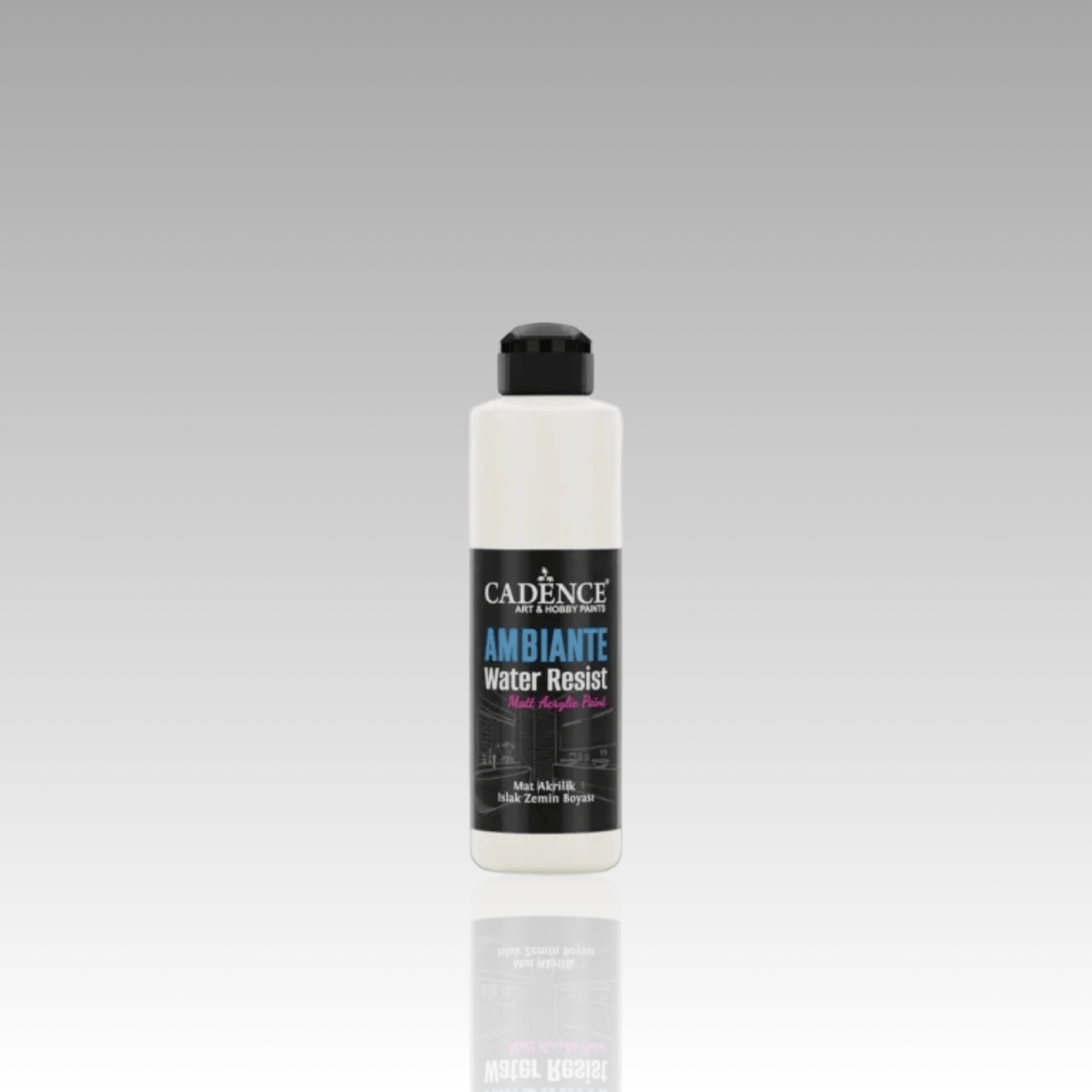 Pak Beyaz Ambiante Islak Zemin Boyası 250ml+10ml Katalizör