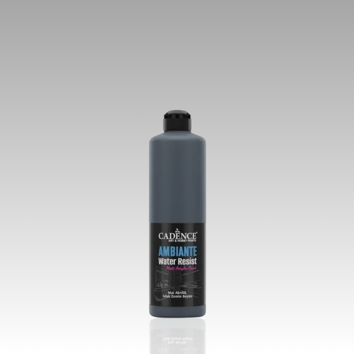 Antrasit Siyah Ambiante Islak Zemin Boyası 500ml+20ml Katalizör