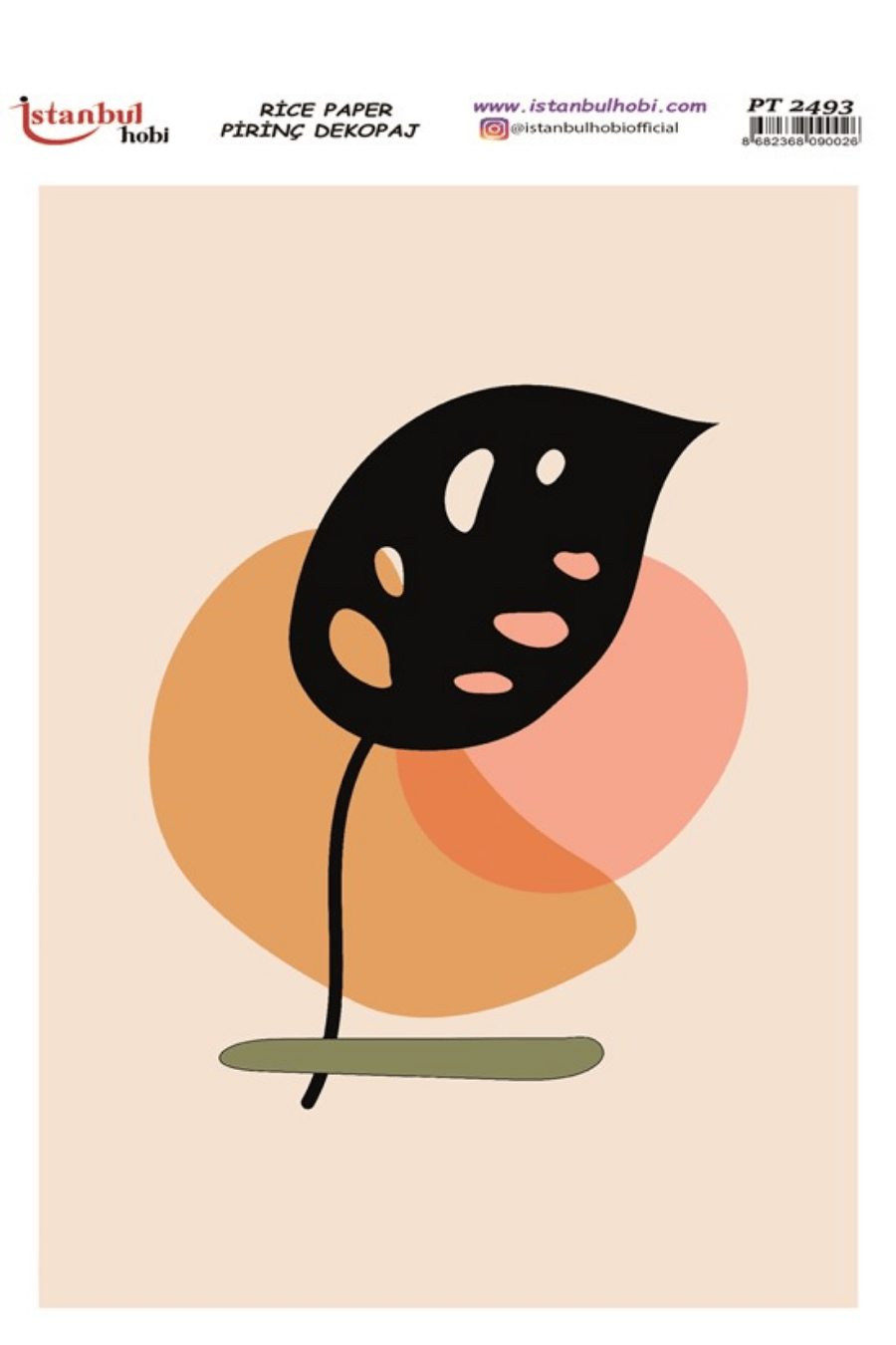 Pirinç Dekopaj PT-2493 30x42cm