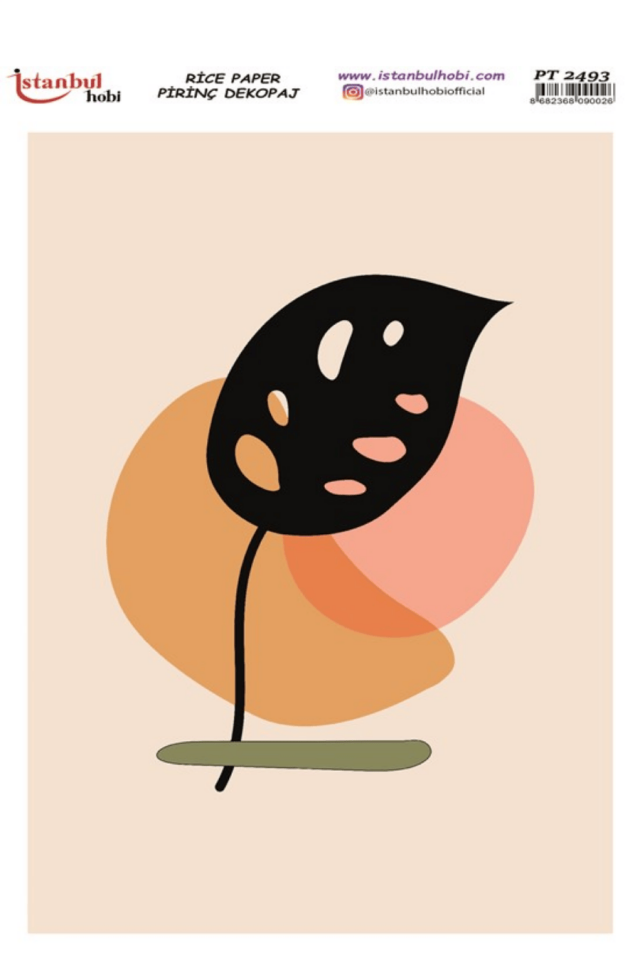 Pirinç Dekopaj PT-2493 30x42cm