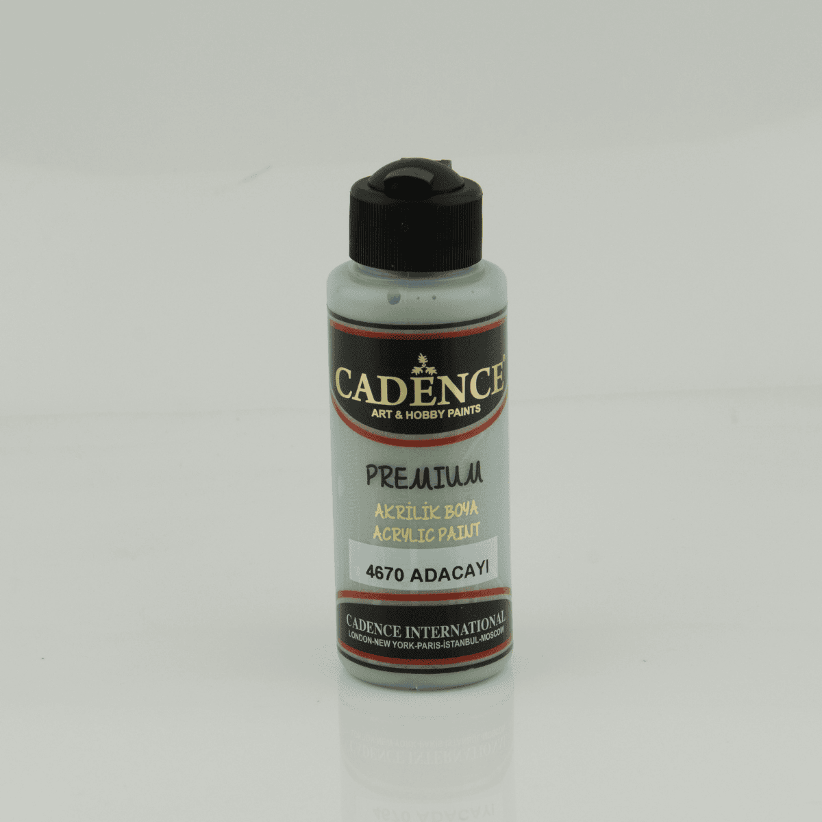 Premium Akrilik 4670 Adaçayı 120ml