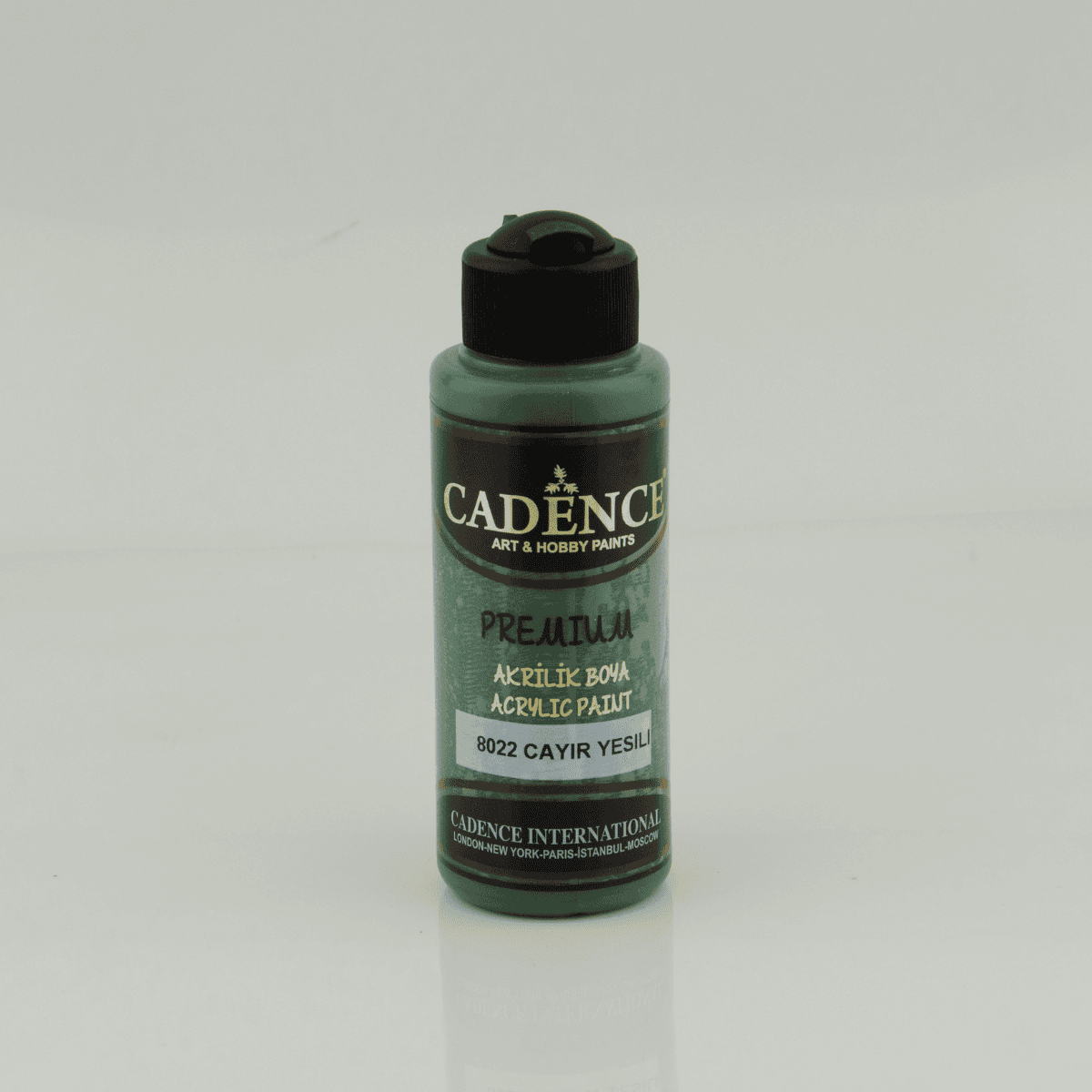 Premium Akrilik 8022 Çayır Yeşil 120ml