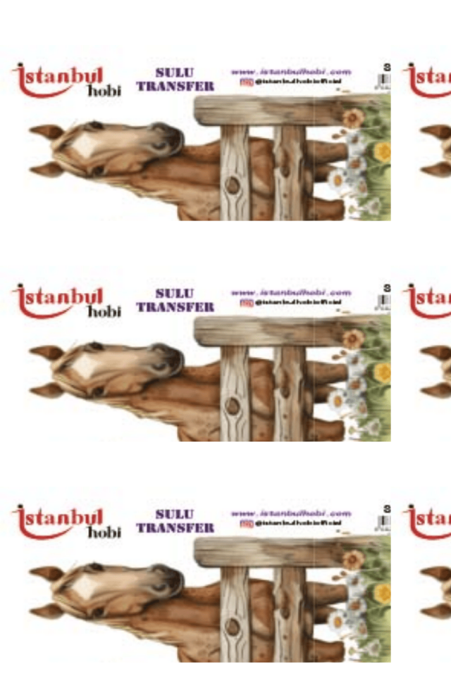 Sulu Transfer Hayvanlar Desenli Seri ST1557