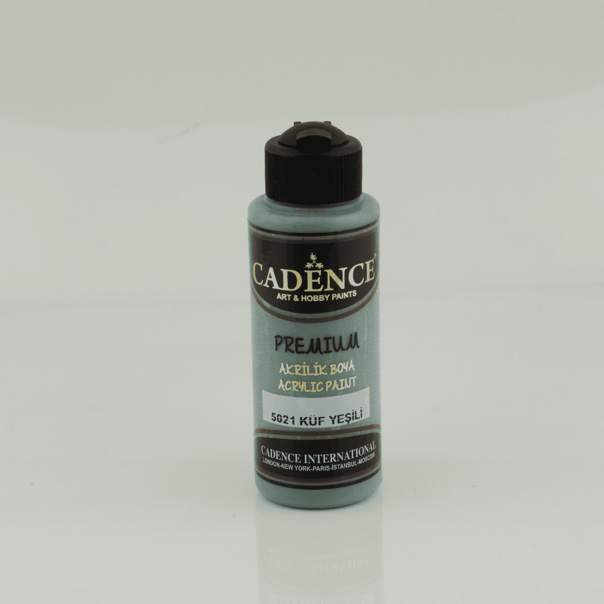 Premium Akrilik 5021 Küf Yeşil 120ml