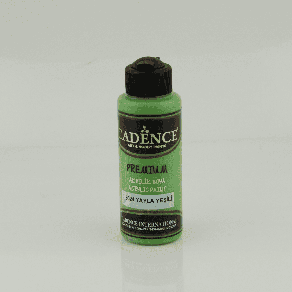 Premium Akrilik 8024 Yayla Yeşil 120ml