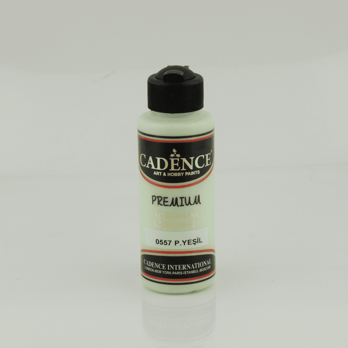 Premium Akrilik 0557 Pastel Yeşil 120ml