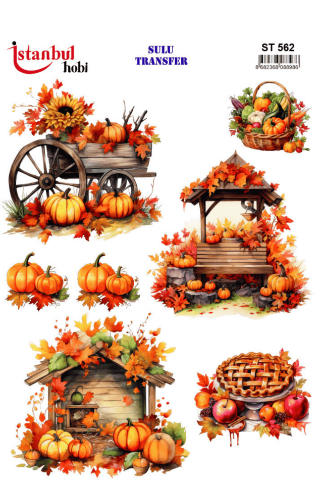 Sulu Transfer Kabaklı Desen Seri ST562