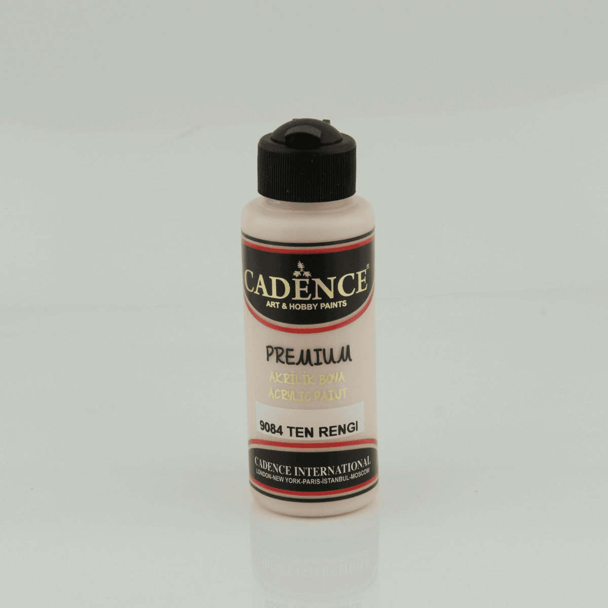 Premium Akrilik 9084 Ten 120ml