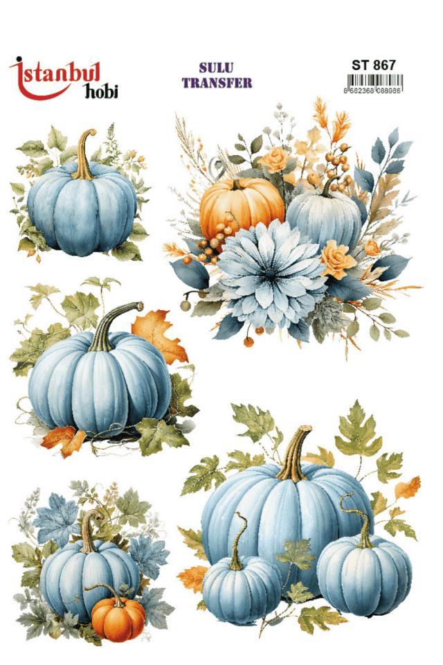Sulu Transfer Kabak Desen Seri ST867