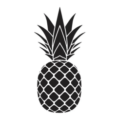 Ananas Model A4 Stencil Şablon AS594