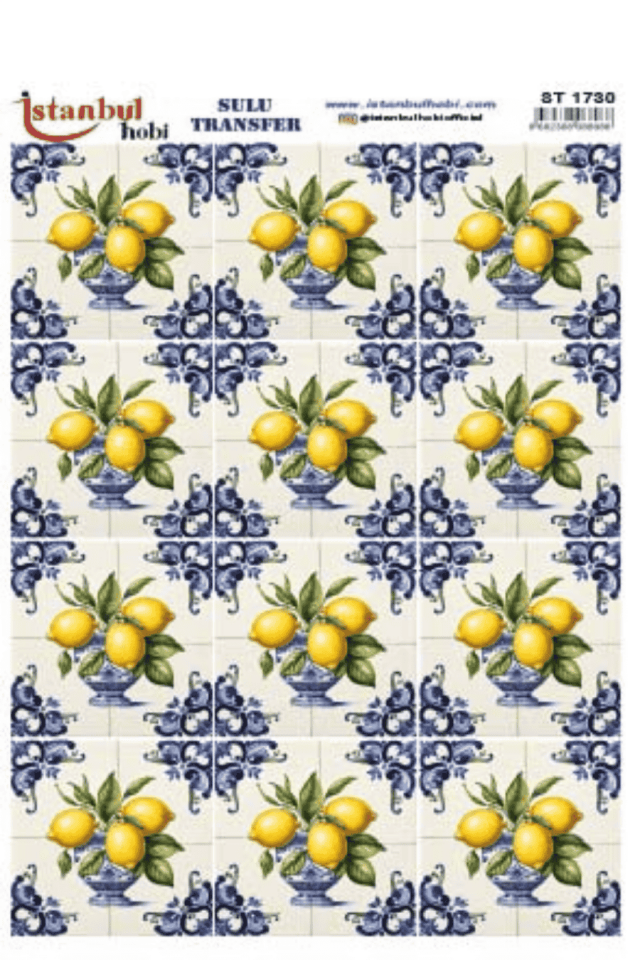 Sulu Transfer Mandala Çini ve Türk Motifleri Seri ST1730