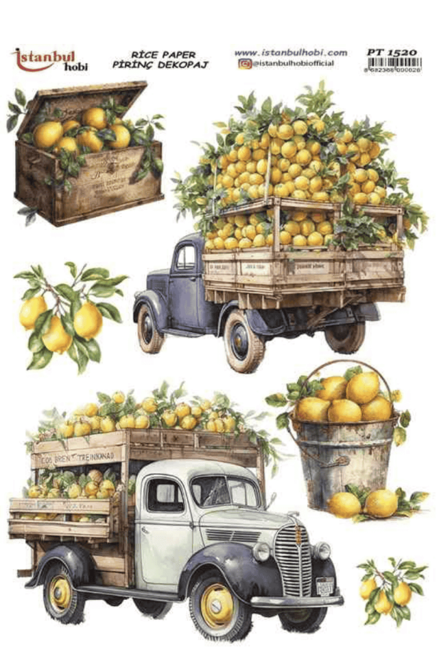 Pirinç Dekopaj Limon Desen PT-1520 30x42cm