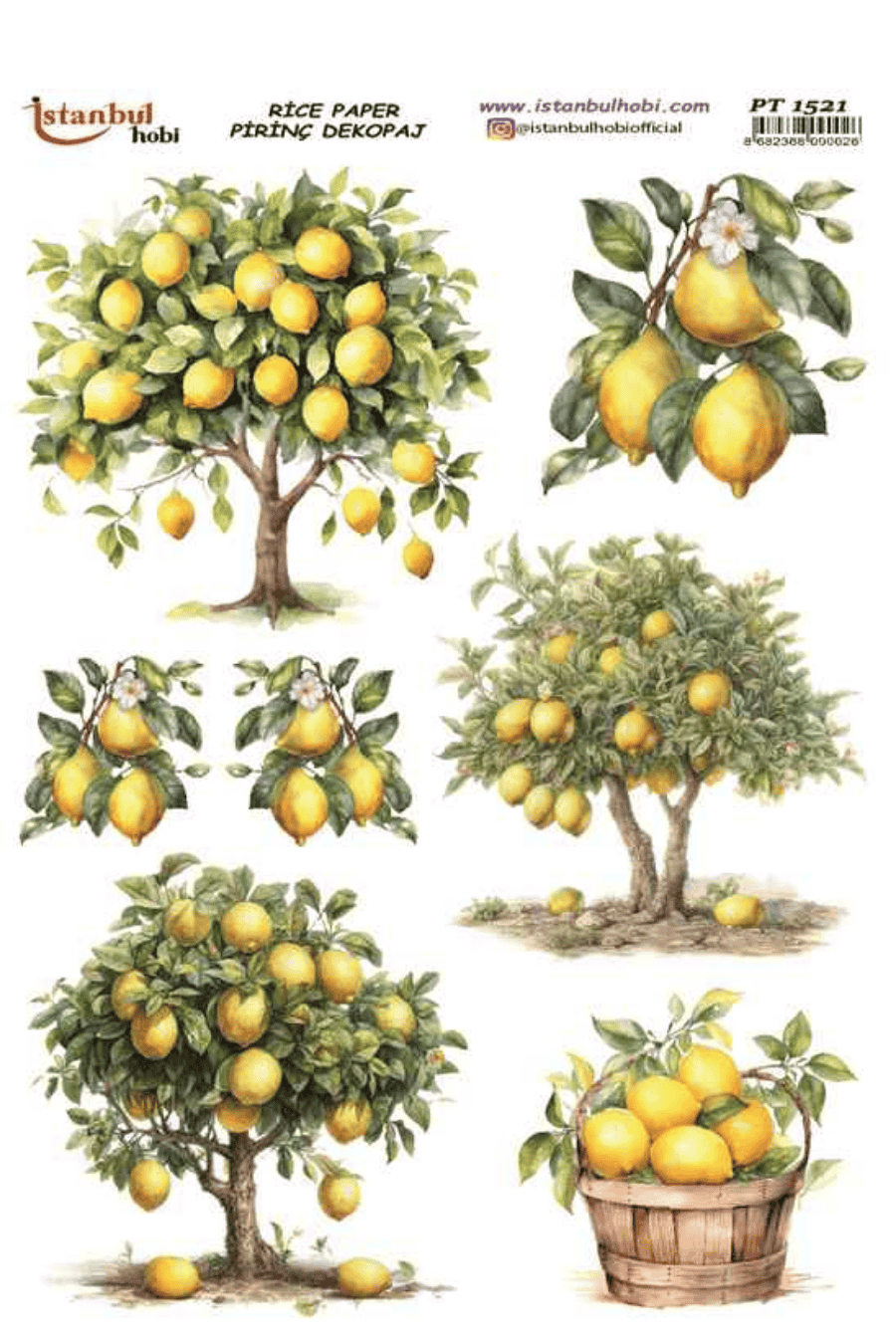 Pirinç Dekopaj Limon Desen PT-1521 30x42cm