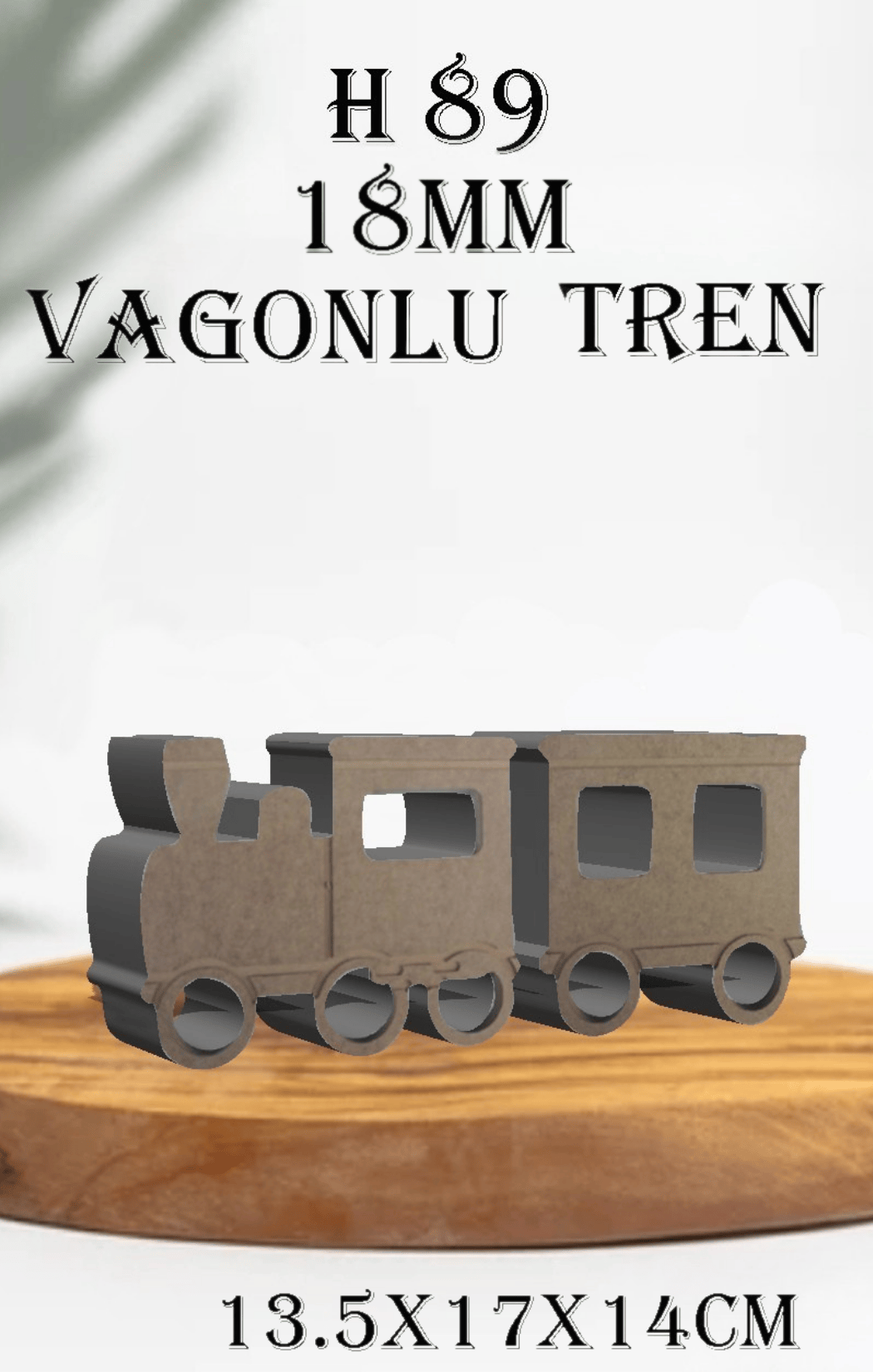 H-89 Vagonlu Tren