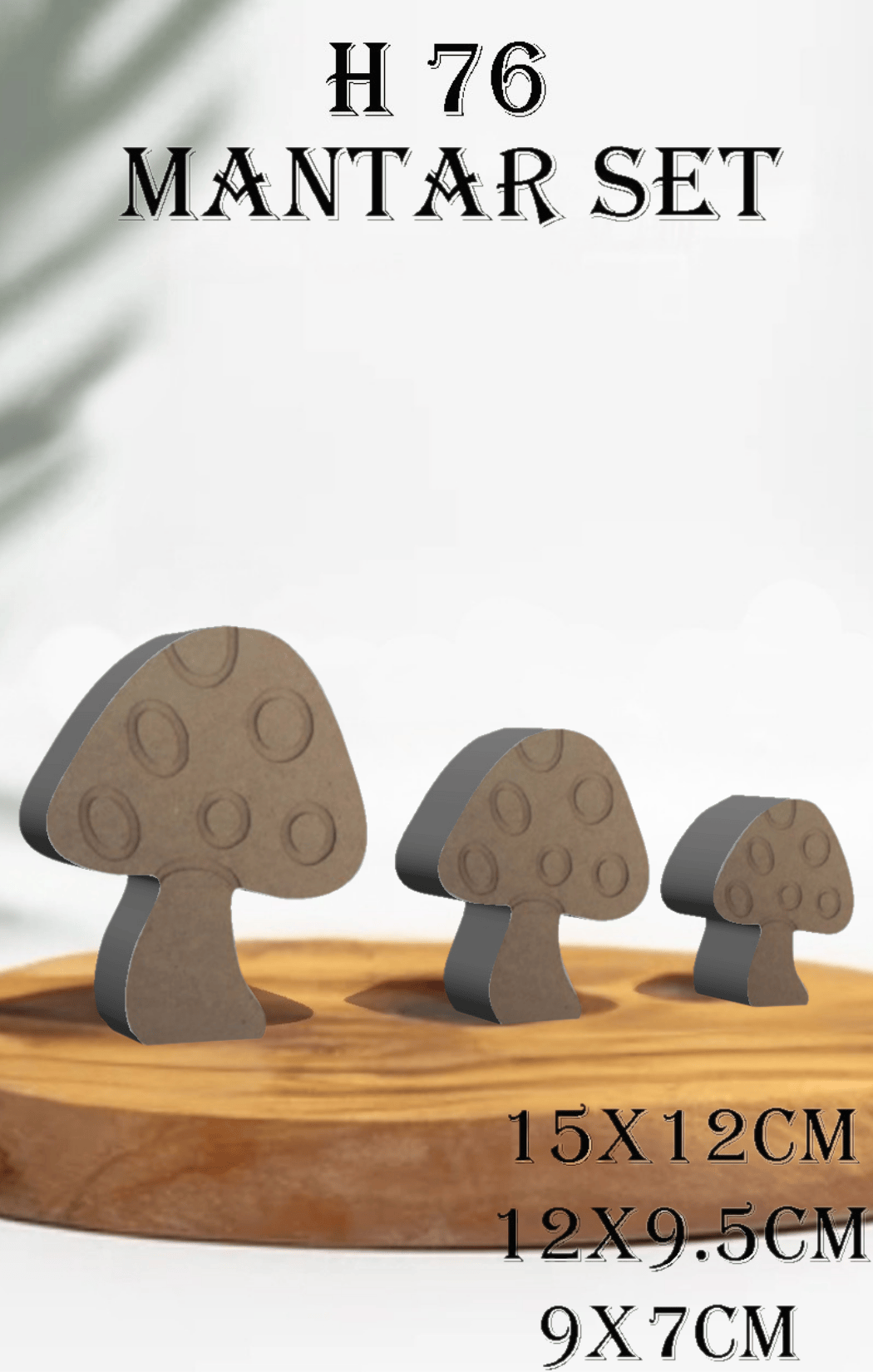 H-76 Mantar Set