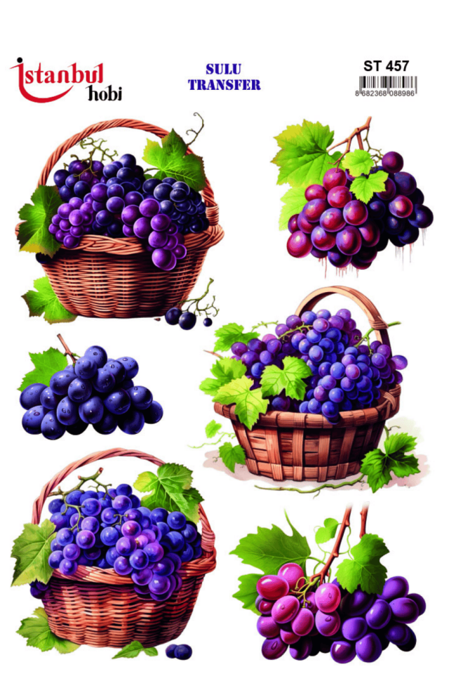 Sulu Transfer Meyveli Desen Seri ST457