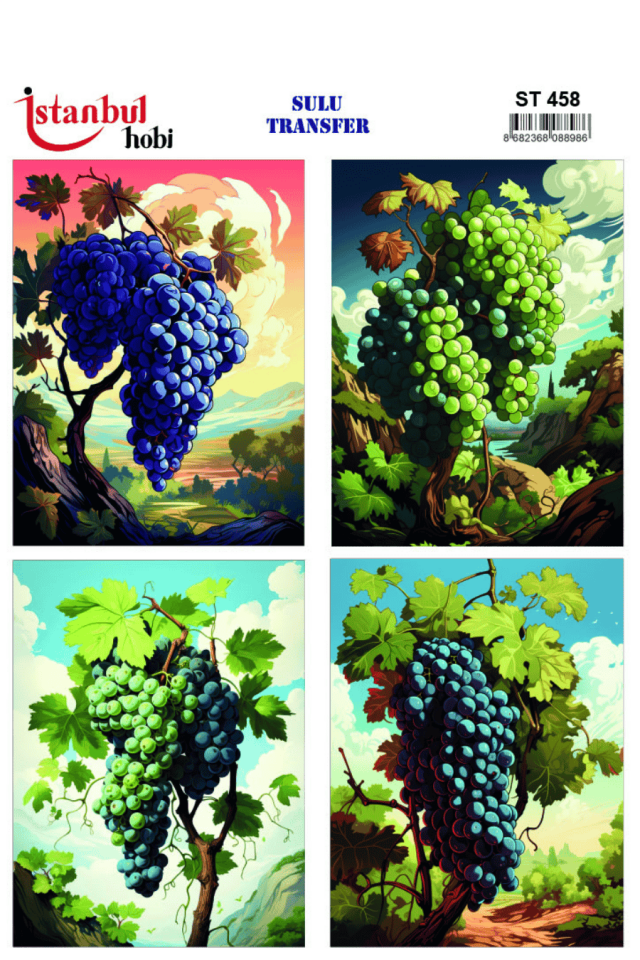 Sulu Transfer Meyveli Desen Seri ST458