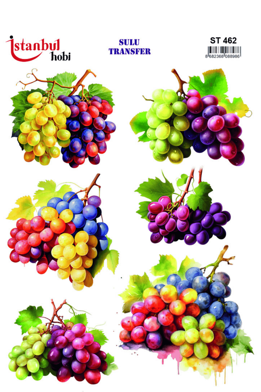 Sulu Transfer Meyveli Desen Seri ST462