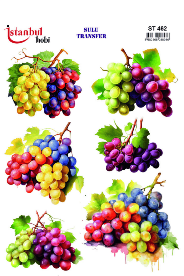 Sulu Transfer Meyveli Desen Seri ST462