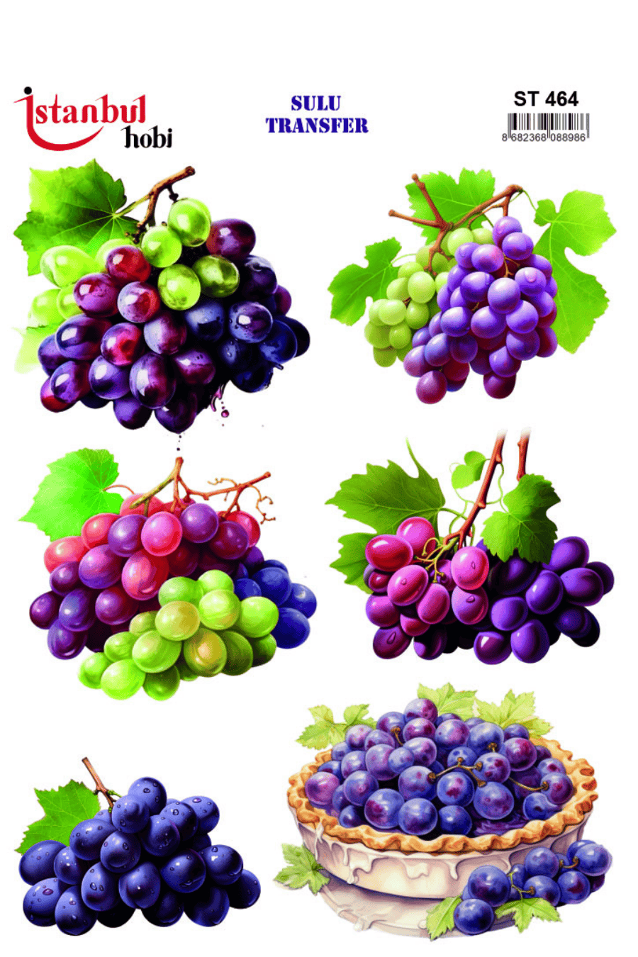 Sulu Transfer Meyveli Desen Seri ST464