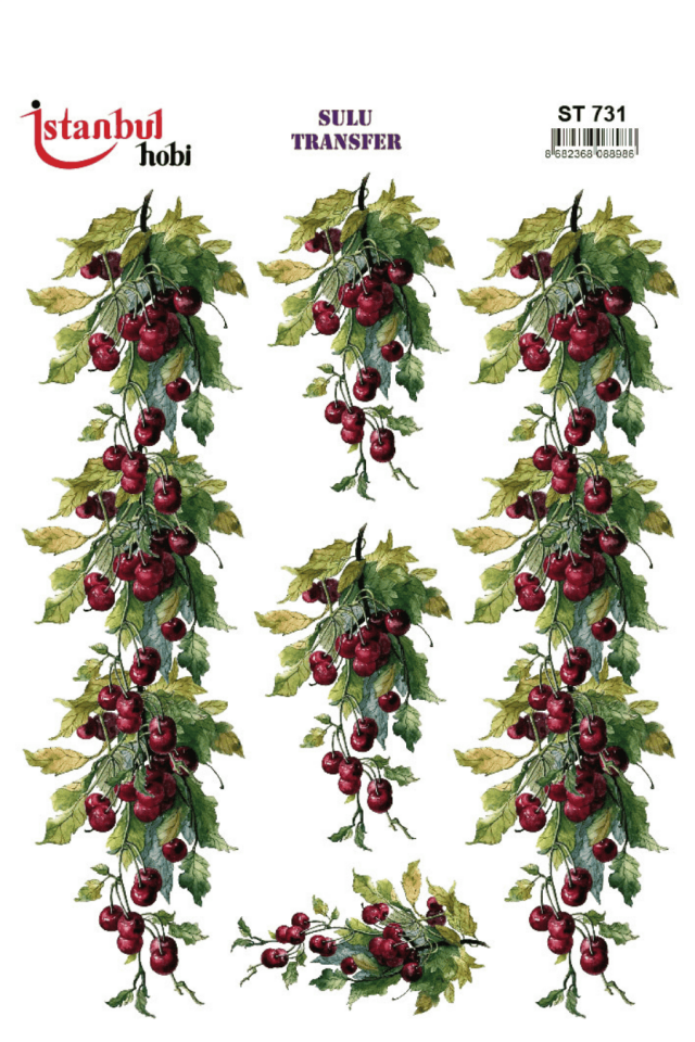 Sulu Transfer Meyveli Desen Seri ST731