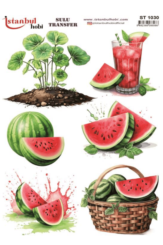 Sulu Transfer Meyveli Desen Seri ST1030