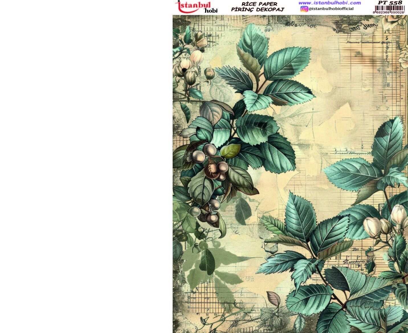 Pirinç Dekopaj Limon PT-558 30x42cm