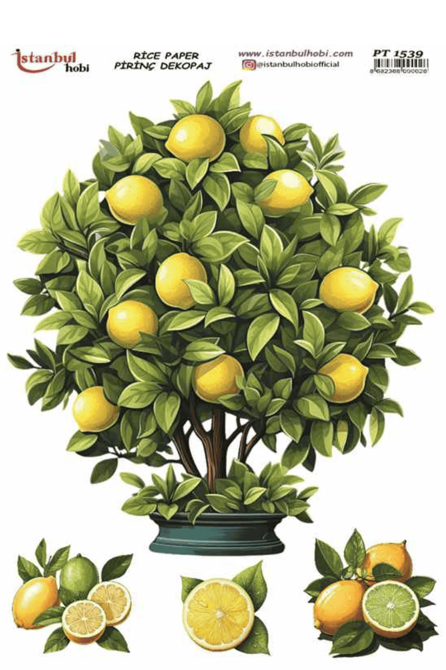 Pirinç Dekopaj Limon PT-539 30x42cm